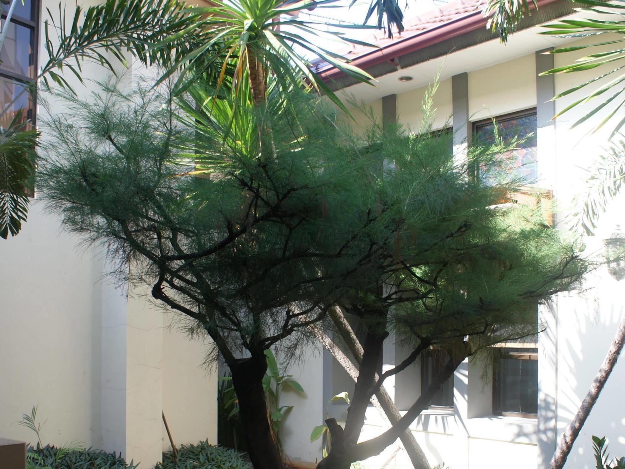 ג'קרטה Sofyan Hotel Soepomo מראה חיצוני תמונה